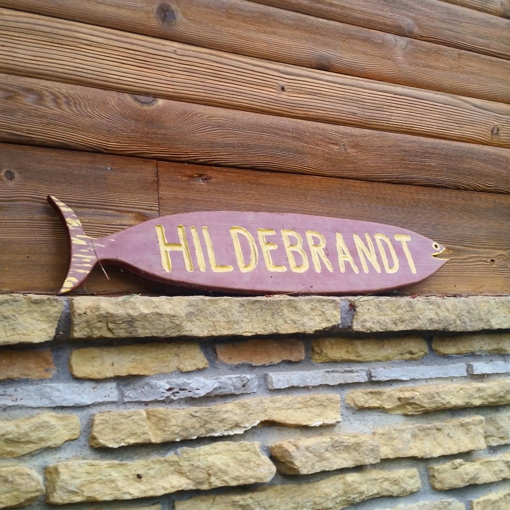 Texture Hunting – Lake Holcombe, WI