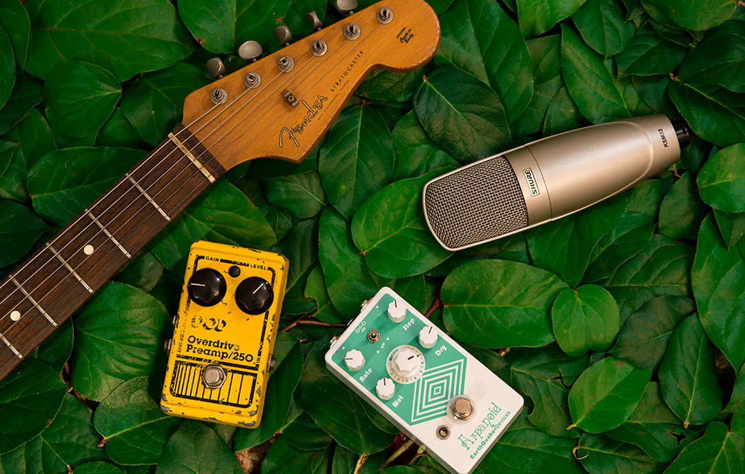 Overhead photo of a Fender guitar headstock, microphone, and two guitar pedals on a bed of grean leaves