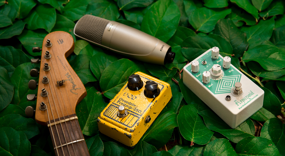 Lower angle photo of a Fender guitar headstock, microphone, and two guitar pedals on a bed of grean leaves