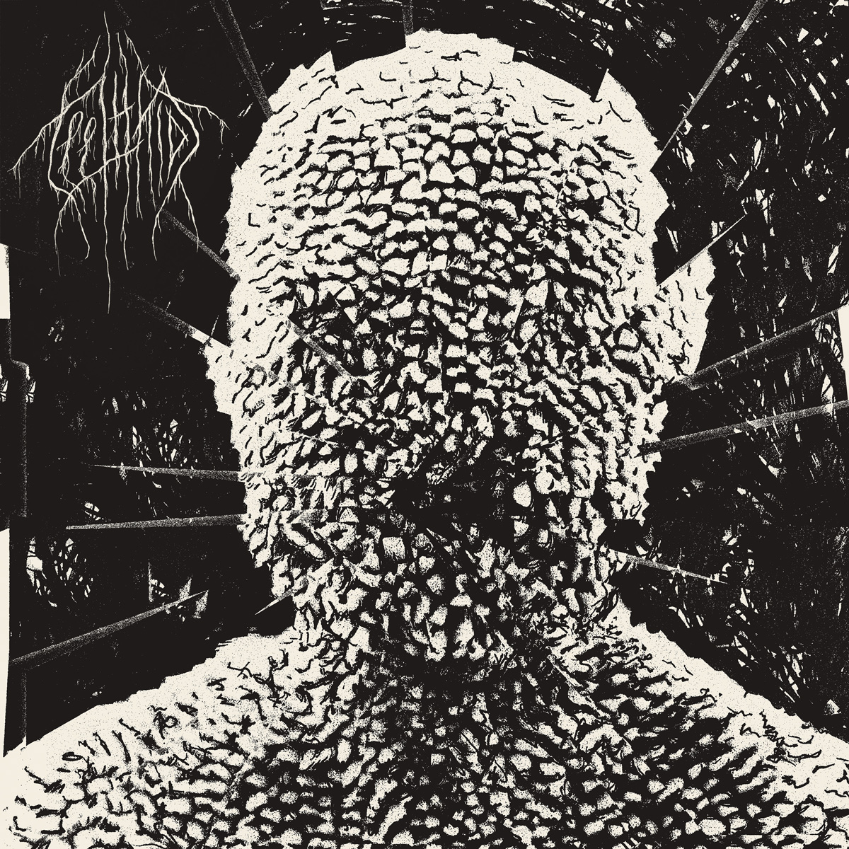 Teeth Kids Album & Merch Design